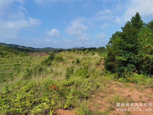 石家庄市带着徒弟上山学杨公风水现场操作